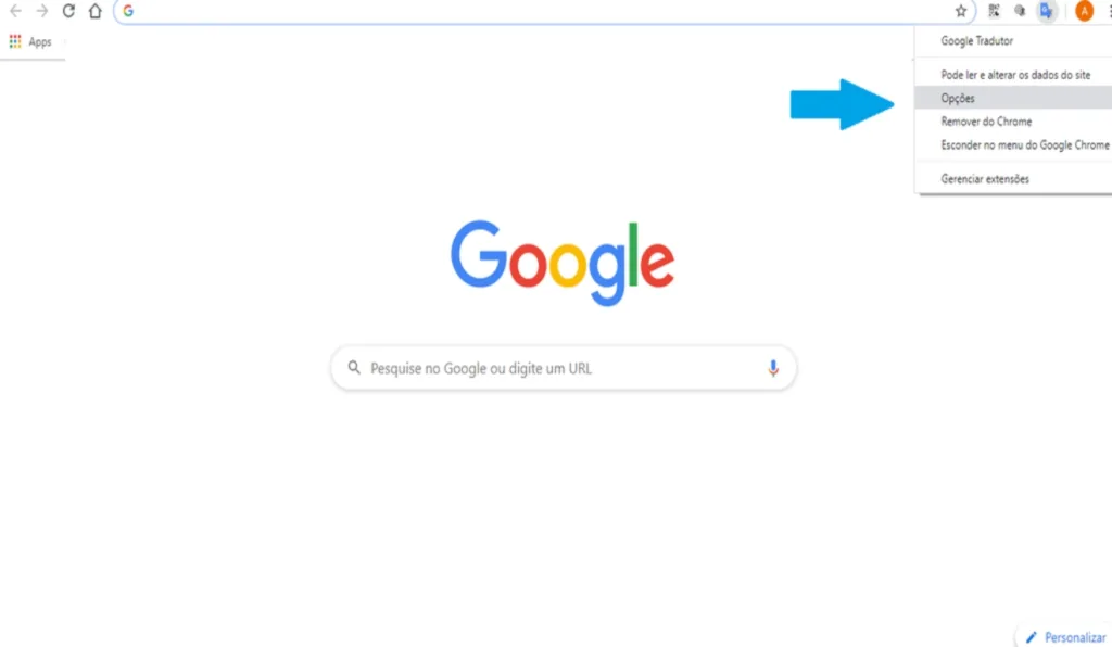 Print do 7 passo para instalar plugin do Google Tradutor.