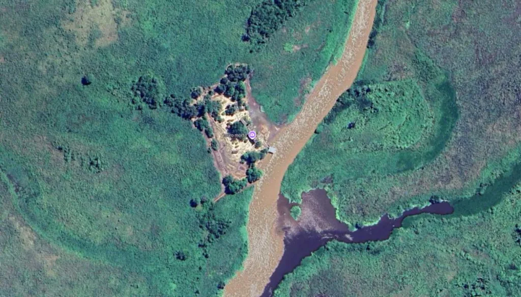 Touro morto no Pantanal: veja como é a região onde onça matou caseiro