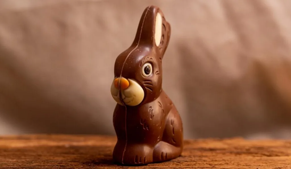 Coelho de chocolate