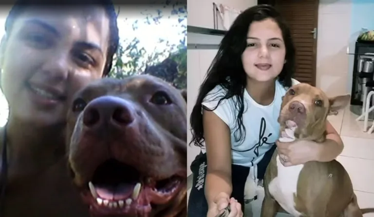 Mulher e o pitbull de estimação