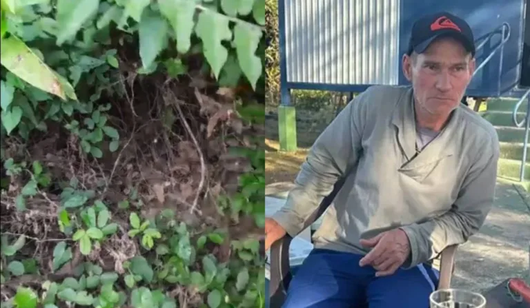 Frame de vídeo mostra toca de onça que matou caseiro no Pantanal