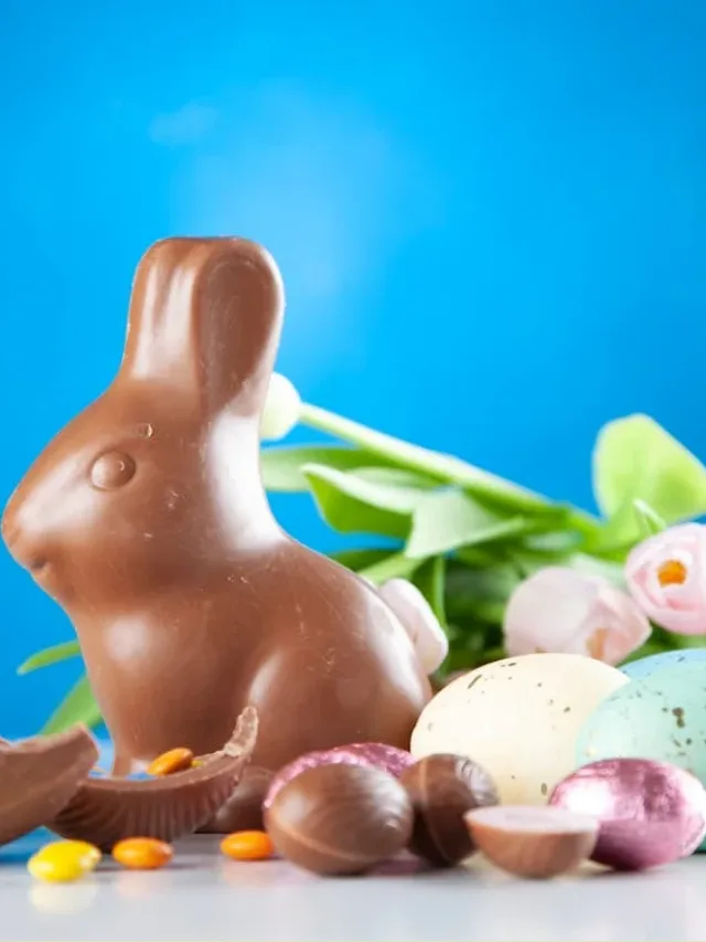 web story capa isadora (5)