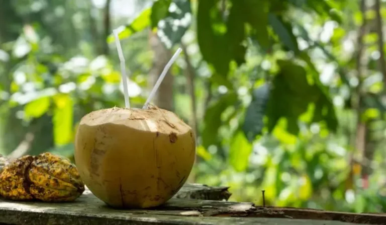 Água de coco com plantas verdes de fundo