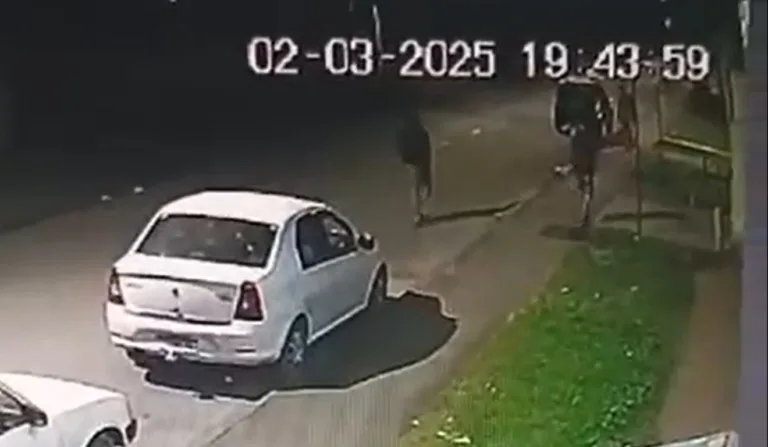 Adolescente morto em Piraquara tinha 15 anos