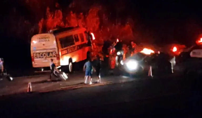 Ônibus escolar transportava 13 adolescentes no momento do acidente na BR-369