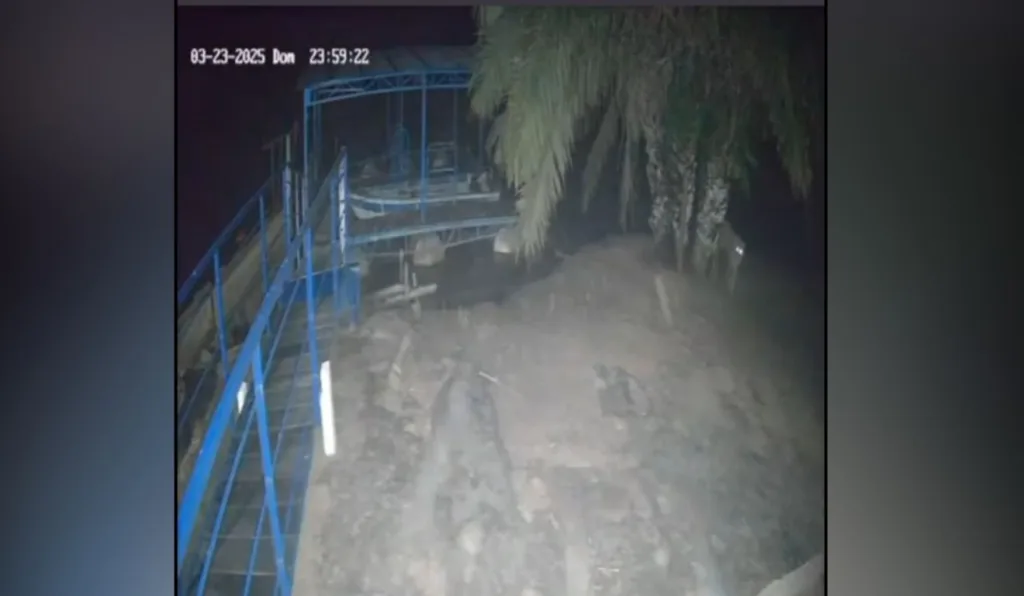 Onça que matou caseiro foi flagrada por câmeras de segurança da fazenda