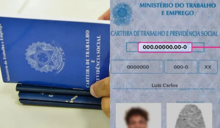 como consultar o número do PIS - carteira de trabalho