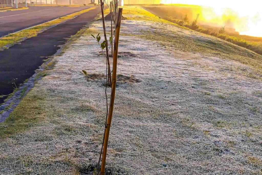 Frente fria derruba as temperaturas em Palmas, no Paraná 