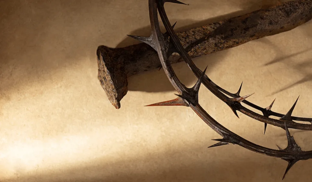 Imagem ilustrativa da coroa de espinhos que Jesus usou.