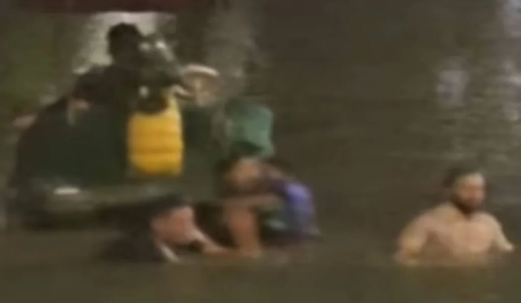 Pai e filho caem em lago durante passeio após pedalinho afundar; assista