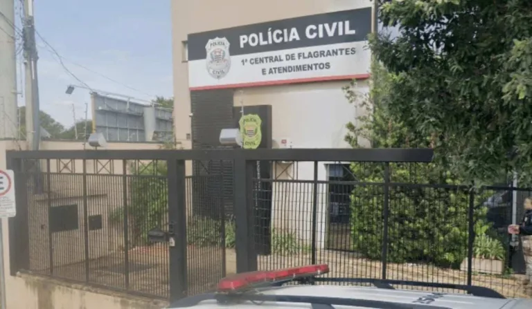 delegacia onde tia que esqueceu sobrinho no carro foi levada