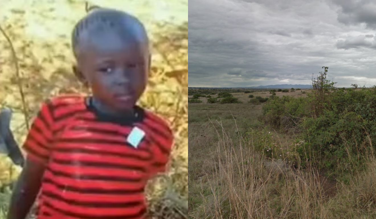 Adolescente morta por leão