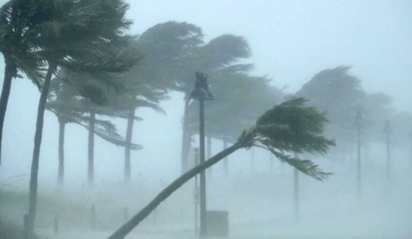 árvores balançando por causa de vento forte para ilustrar a chegada do ciclone extratropical