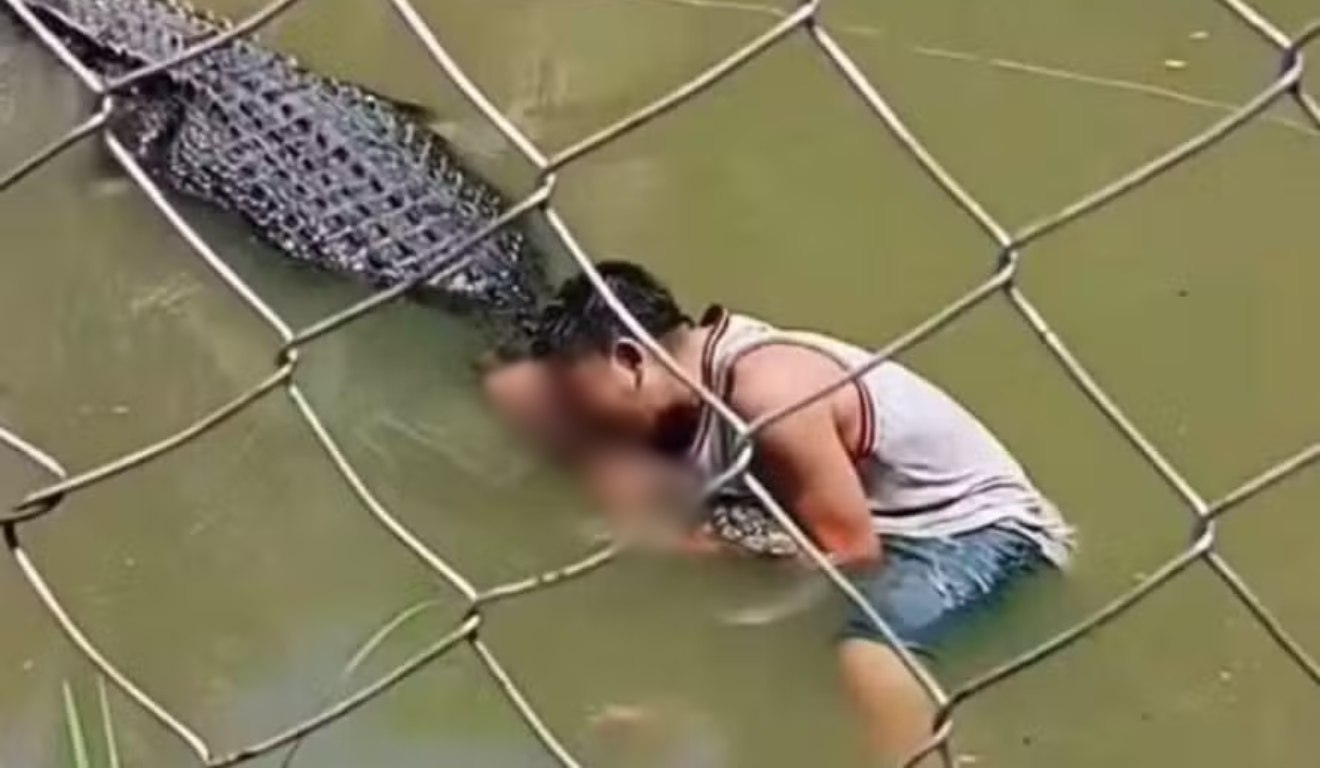 Crocodilo atacou visitante que entrou no recinto do zoológico