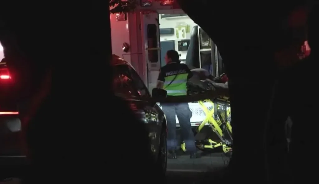 Motorista atropela multidão e mata 9 pessoas em festival de rua