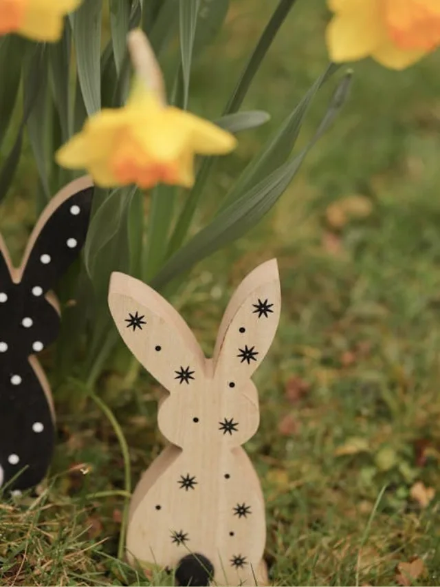 web story capa isadora (6)