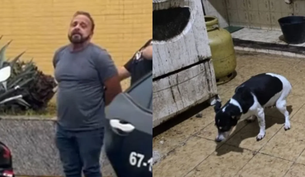 médico sendo preso após manter cachorros mortos congelados no freezer