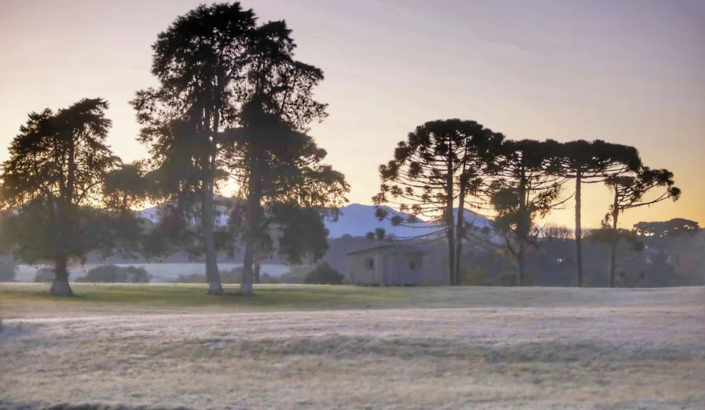 frio intenso e geada