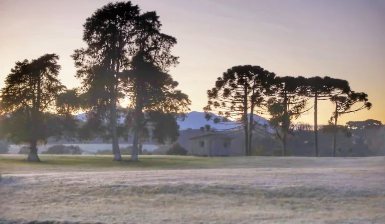 frio intenso e geada