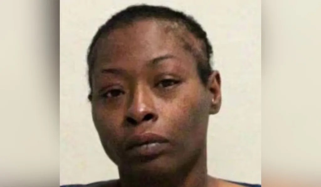 mulher que esfaqueou paramédico