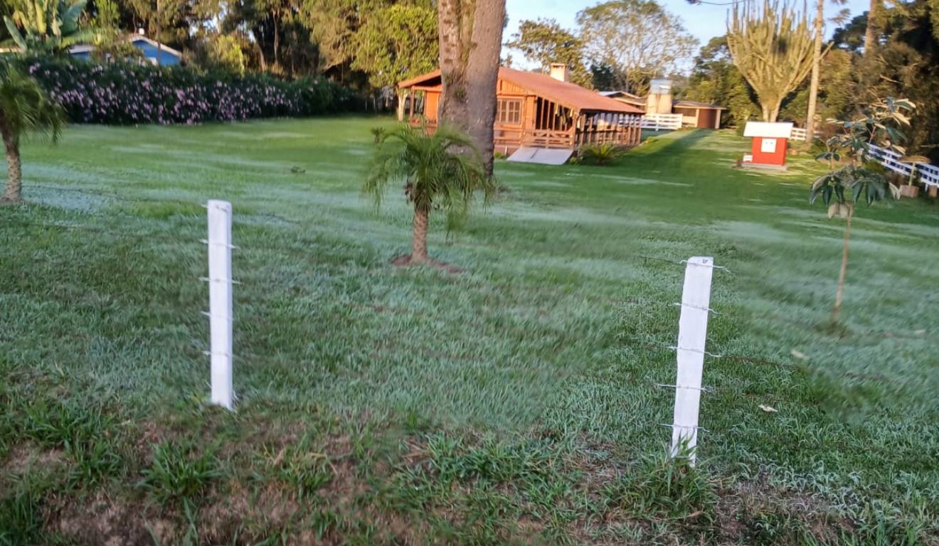 primeira geada do ano no Paraná - Carambeí