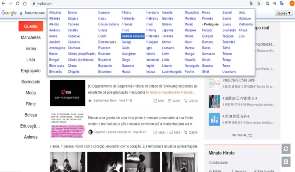 Print do 5 passo para instalar plugin do Google Tradutor.
