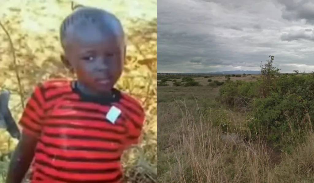 Adolescente morta por leão