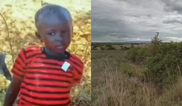 Adolescente morta por leão