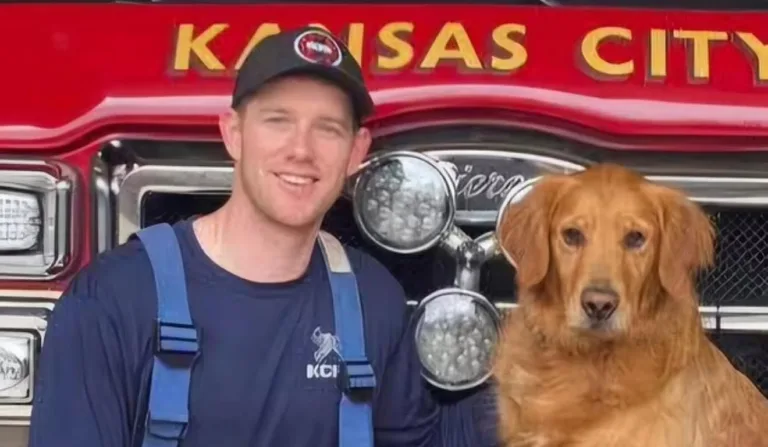 paramédico que foi esfaqueado ao lado de um golden retriever