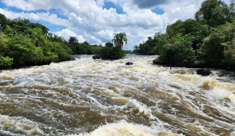 Evento será realizado nas águas do Rio Iguaçu, um dos mais importantes do Paraná (Foto: Fernando Amaral)