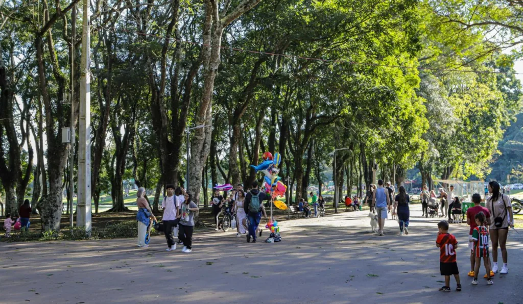 Não há previsão de chuva para Curitiba