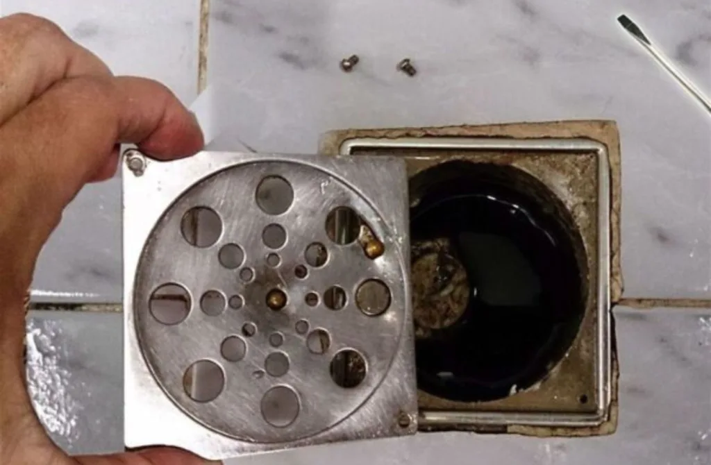 Problema de mau cheiro no ralo do banheiro tem solução simples