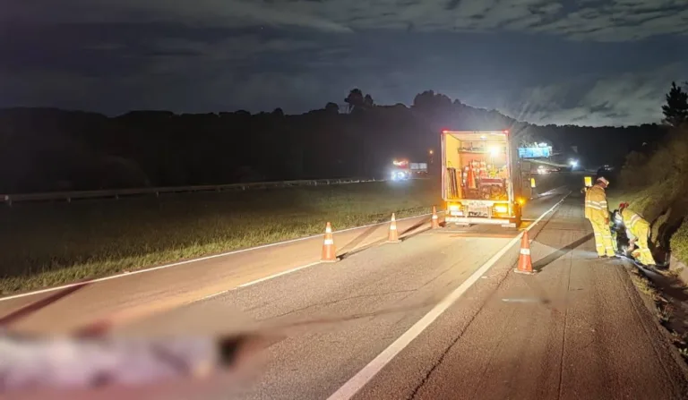 Trabalhador morre atropelado na BR-277 e motorista foge sem prestar socorro