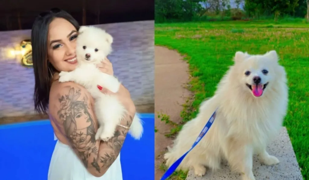 mulher segurando cachorro branco