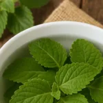 folhas de boldo dentro de um pote com água