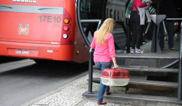 Prefeitura divulgou uma lista de regras para os tutores