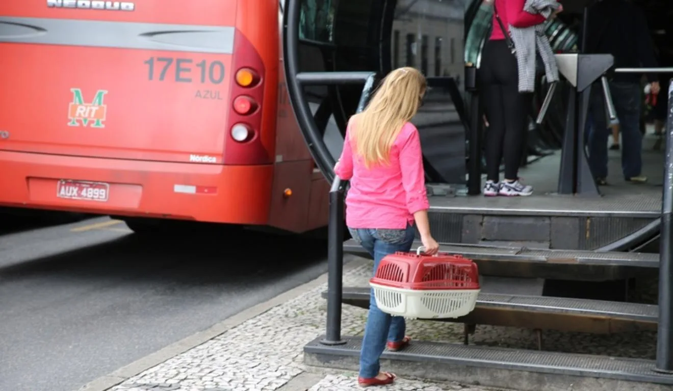 Prefeitura divulgou uma lista de regras para os tutores