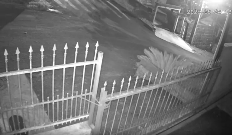 rua íngreme em que crianças desceram de bicicleta sem freios