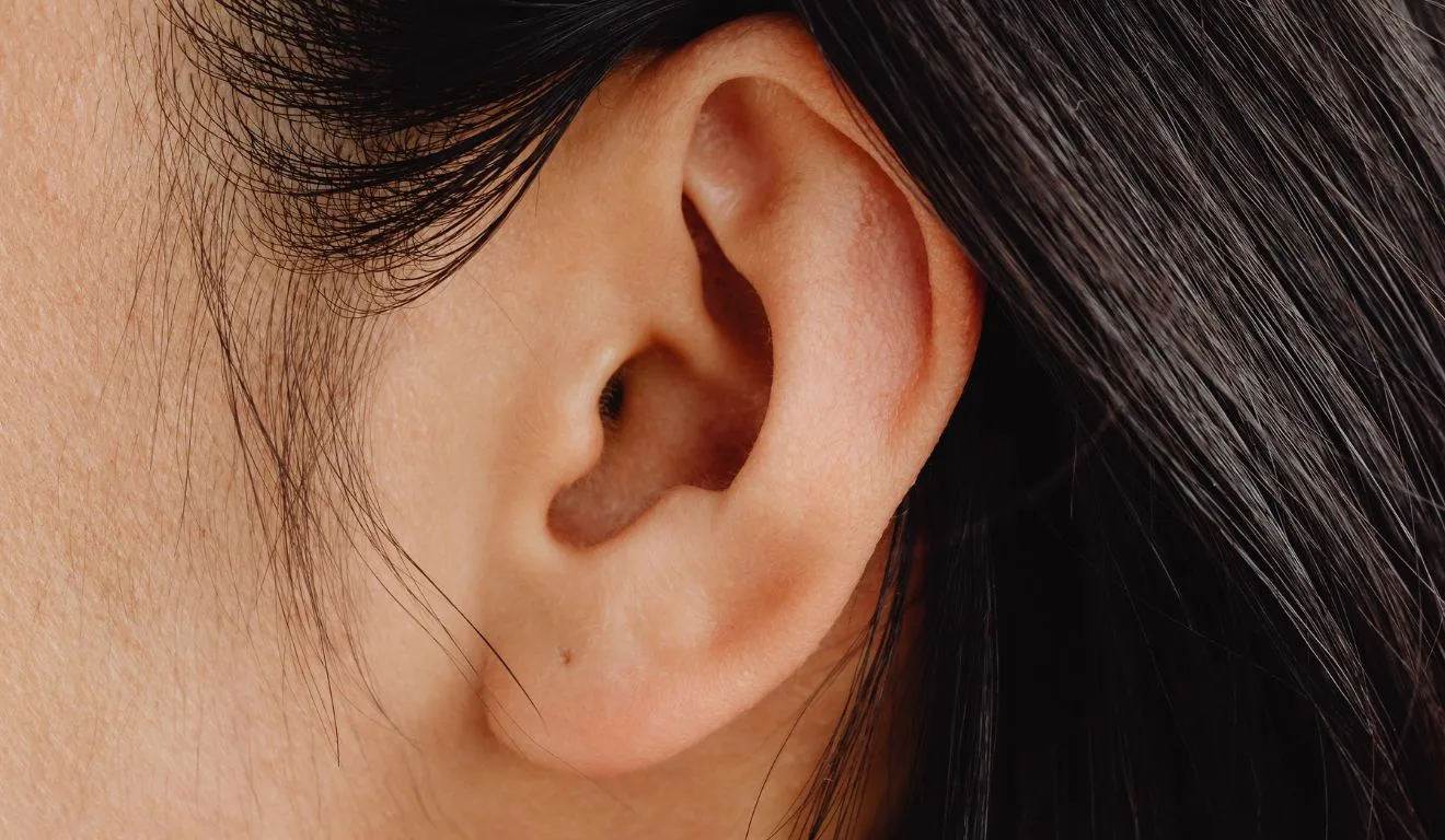 orelha para ilustrar crença da orelha vermelha