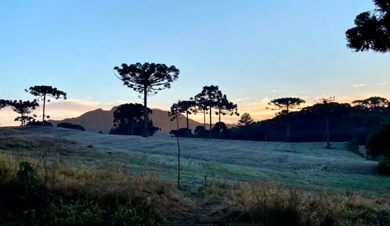 geada no paraná para ilustrar a previsão do tempo em Curitiba