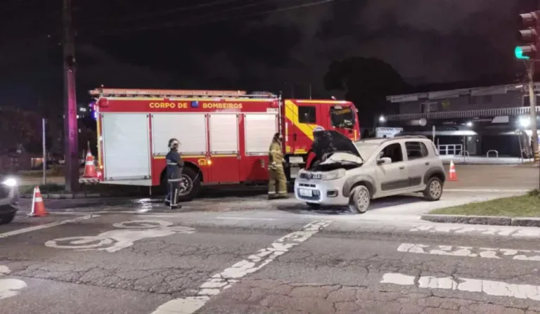 Carro e corpo de bombeiros ao lado