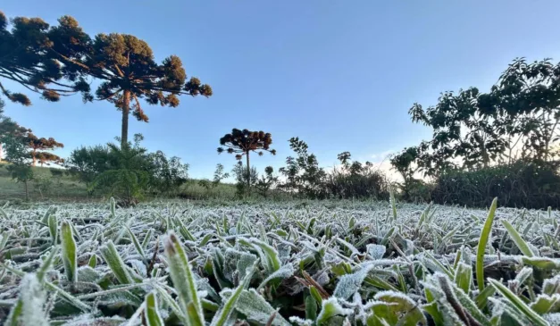 geada no paraná