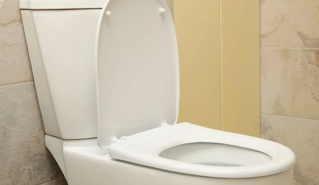 vaso sanitário para ilustrar descarga fraca