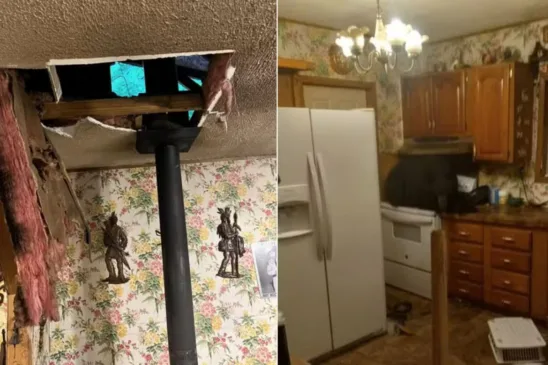 Urso é encontrado sentado no fogão de uma casa nos Estados Unidos - Foto: Reprodução / Facebook