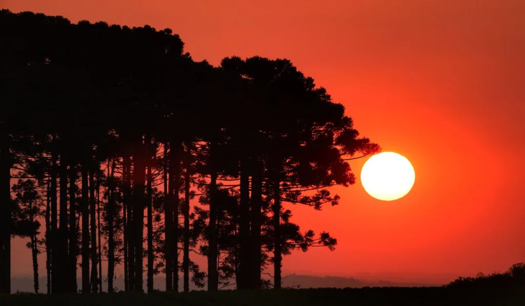 céu com sol para ilustrar veranico no Paraná