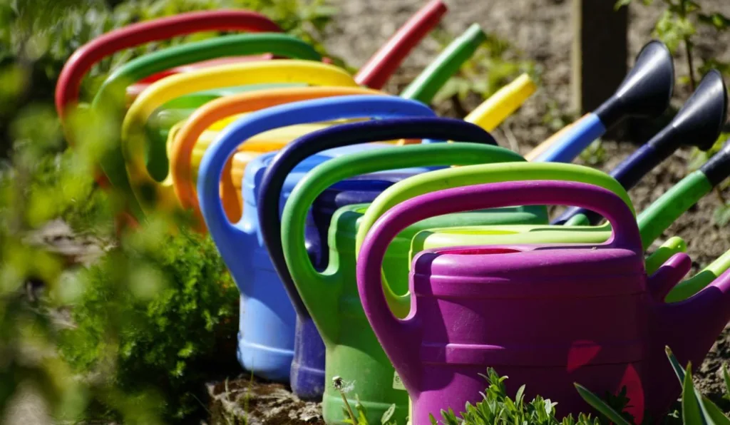 regadores para ilustrar jardim para iniciantes