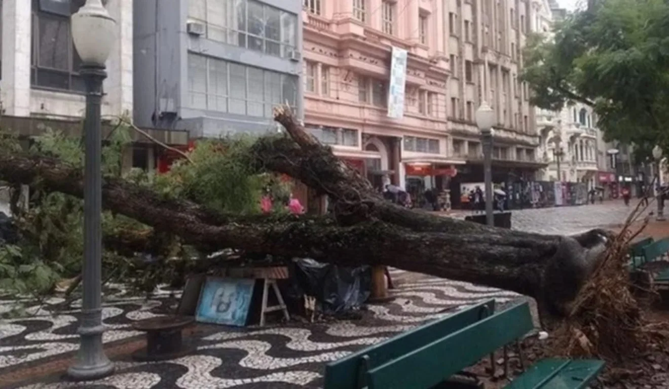 Ciclone provocou queda de árvores no Rio Grande do Sul