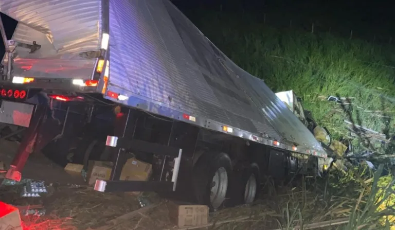 caminhoneiro morre em acidente causado pela queda de uma carga de madeira de outro caminhão, na BR-153, em Santo Antônio da Platina