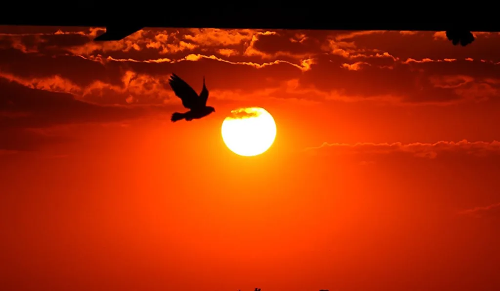 foto de um sol para ilustrar a previsão do tempo no Paraná