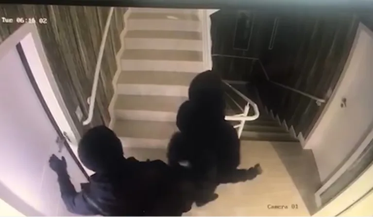 Secretário e diretor de prefeitura foram exonerados por suspeita de envolvimento na invasão em condomínio de luxo